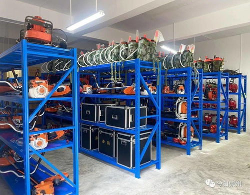 聆聽森林的私語 光學器材的自然對話