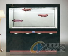 成都托田經(jīng)典水族用品廠 魚缸輔助用品及配件產(chǎn)品報(bào)價(jià)與供應(yīng)商優(yōu)勢(shì)解析