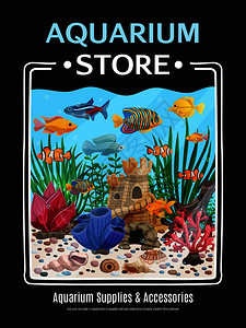 魚(yú)缸插畫(huà)與輔助用品 構(gòu)建水族藝術(shù)的完美生態(tài)